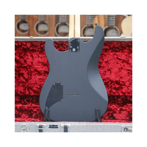 Fender Jim Root Stratocaster EB BK