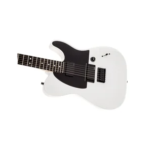 Fender Jim Root Telecaster Flat White