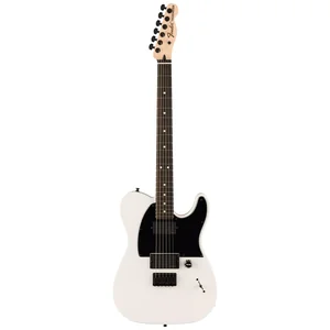 Fender Jim Root Telecaster Flat White