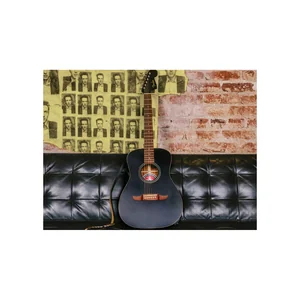 Fender Joe Strummer Campfire