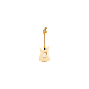 Fender LTD 1969 Strat HR AVWwMC