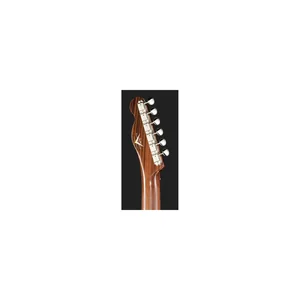 Fender LTD 50 Tele Thinline RW AB