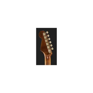 Fender LTD 60 Strat Roasted ASFG SHR
