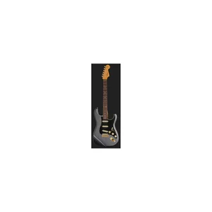 Fender LTD '65 Dual Mag Strat CFM