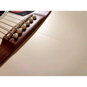 Fender Malibu Player OW WN