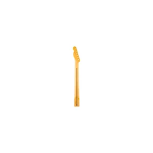 Fender Neck Am Pro Clsc Tele RW