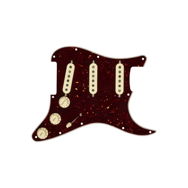 Fender Pre-Wired ST Pickguard 69 TS