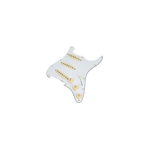 Fender PWPG 59 Strat RWRP WBW