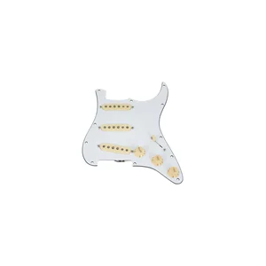 Fender PWPG 59 Strat RWRP WBW