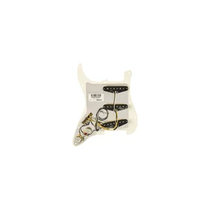 Fender PWPG 59 Strat RWRP WBW