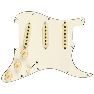Fender PWPG 59 Strat RWRP WBW