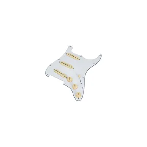 Fender PWPG 65 Strat RWRP WBW