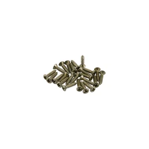 Fender Roadworn Pkgrd Plate Screws