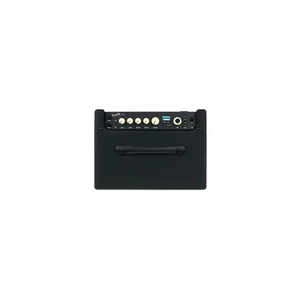 Fender Rumble LT25