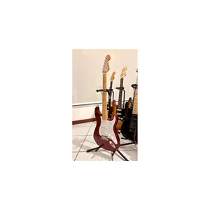 Fender Standard Strat MN WPG CND