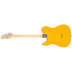 Fender Standard Tele MN BPG BTB