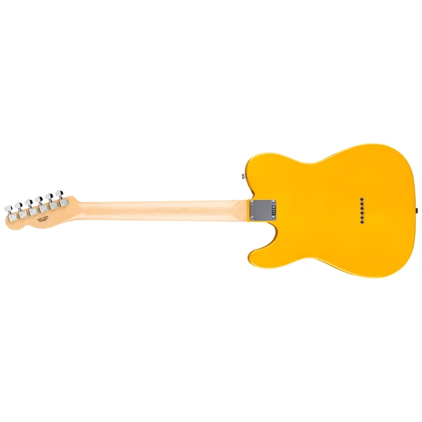 Fender Standard Tele MN BPG BTB