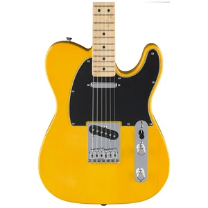 Fender Standard Tele MN BPG BTB