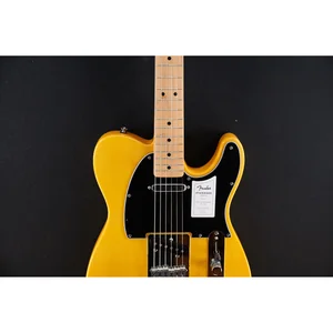 Fender Standard Tele MN BPG BTB
