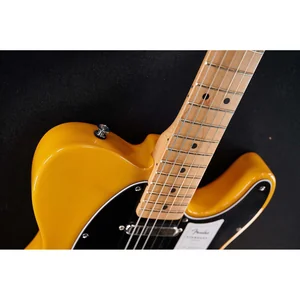 Fender Standard Tele MN BPG BTB