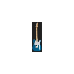Fender Standard Tele MN WPG AMM