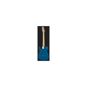 Fender Standard Tele MN WPG AMM