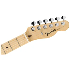 Fender Standard Tele MN WPG AMM