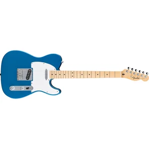 Fender Standard Tele MN WPG AMM
