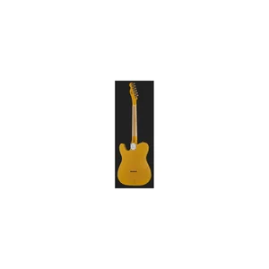 Fender Tele Blackguard Thinline Relic