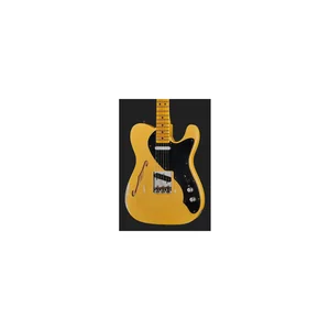 Fender Tele Blackguard Thinline Relic