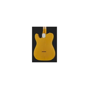 Fender Tele Blackguard Thinline Relic