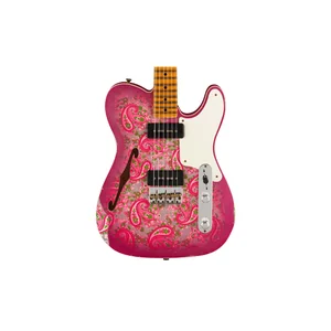 Fender Tele Dual P90 Pink Paisley