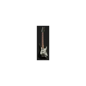 Fender Tom Morello Strat FR RW BLK