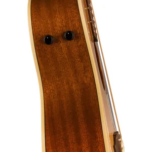 Fender Villager 12-String AGN