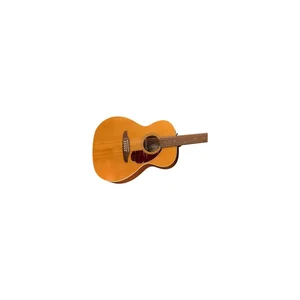 Fender Villager 12-String AGN