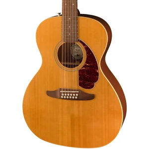 Fender Villager 12-String AGN