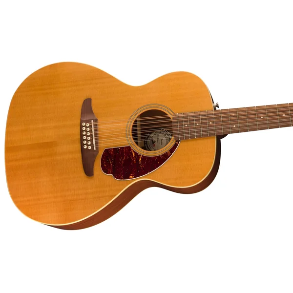 Fender Villager 12-String AGN