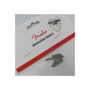 Fender Vintage Bridge Screws