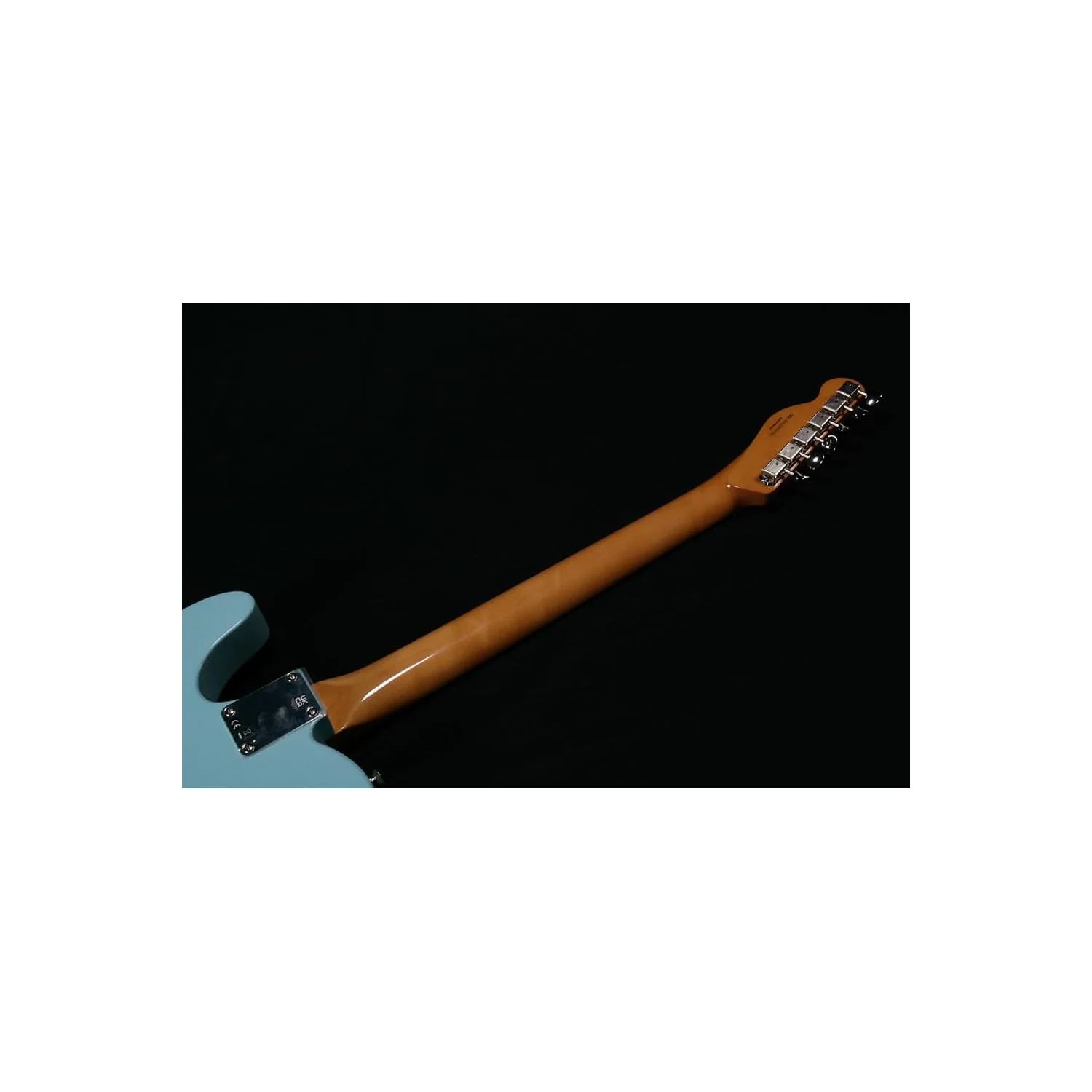 Fender Vintera II 60s Tele Neck RW