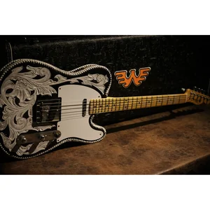 Fender Waylon Jennings Tele LTD MBDB