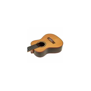 Flight Diana CE Concert Ukulele