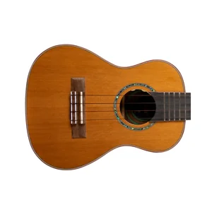 Flight Diana CE Concert Ukulele