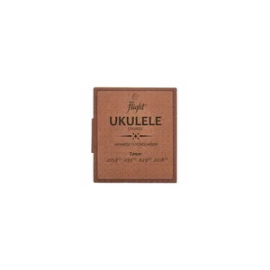 Flight FUST-100 Tenor Ukulele Set