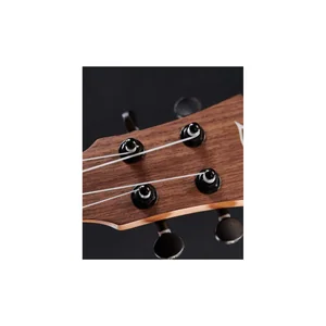 Flight Iris BK Concert Ukulele