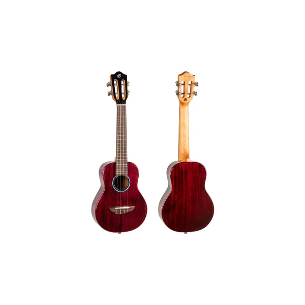 Flight Iris Tinta Concert TPP