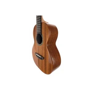 Flight Iris Tinta Tenor NA
