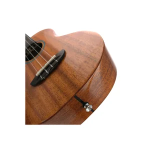 Flight Iris Tinta Tenor NA