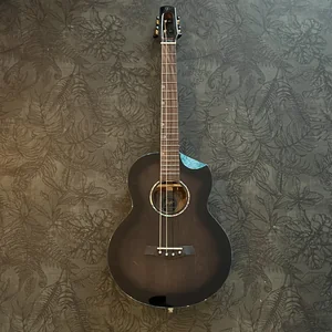 Flight Nighthawk Baritone EQ-A BK