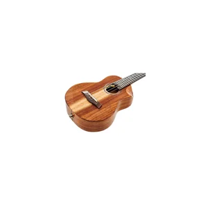 Flight Spirit Concert EQ-A Ukulele