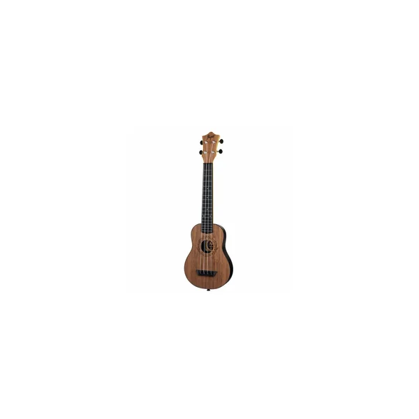 Flight TUSL50 Salamander Travel WN
